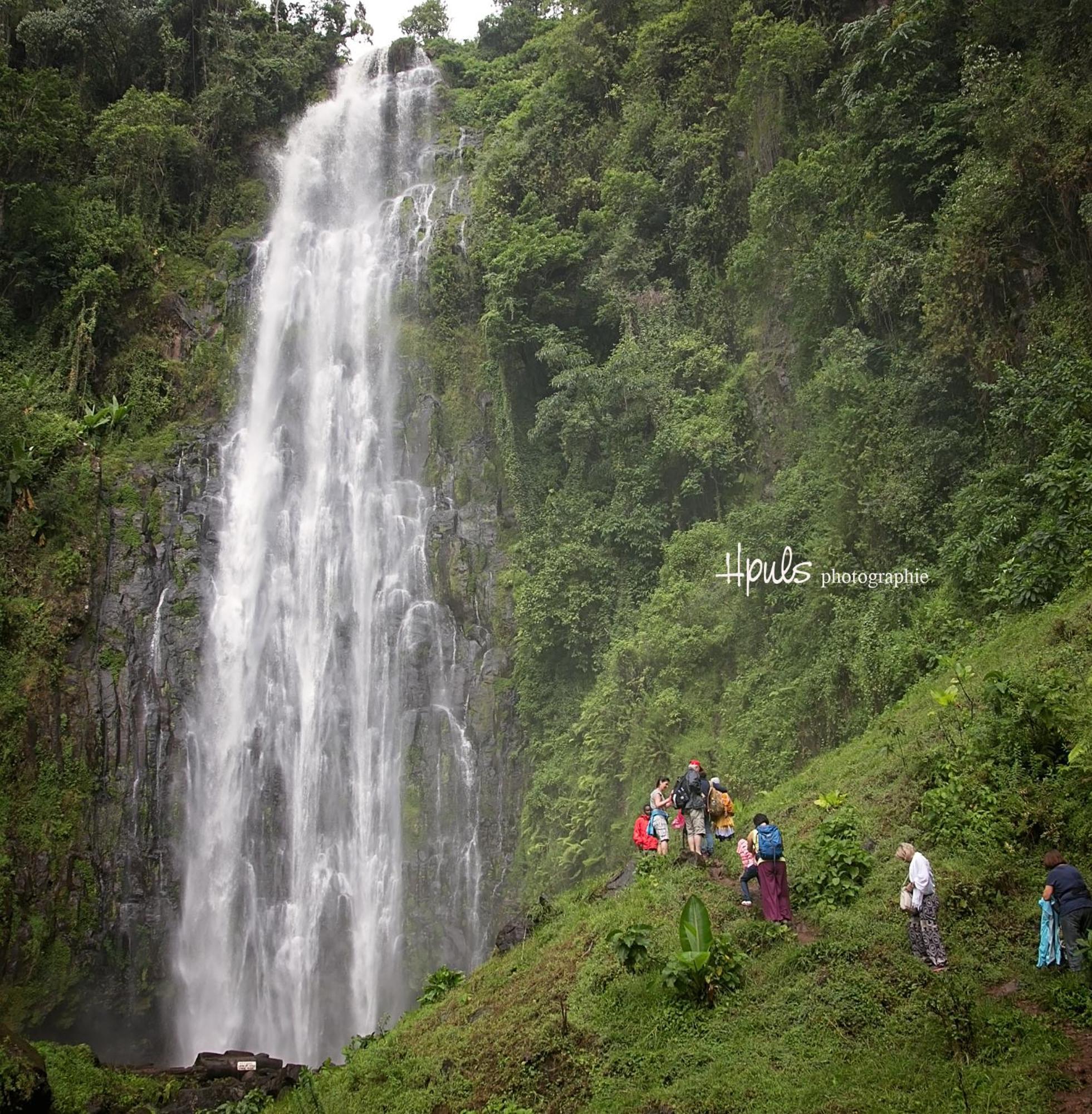 Home Feeling Kilimanjaro موشي المظهر الخارجي الصورة