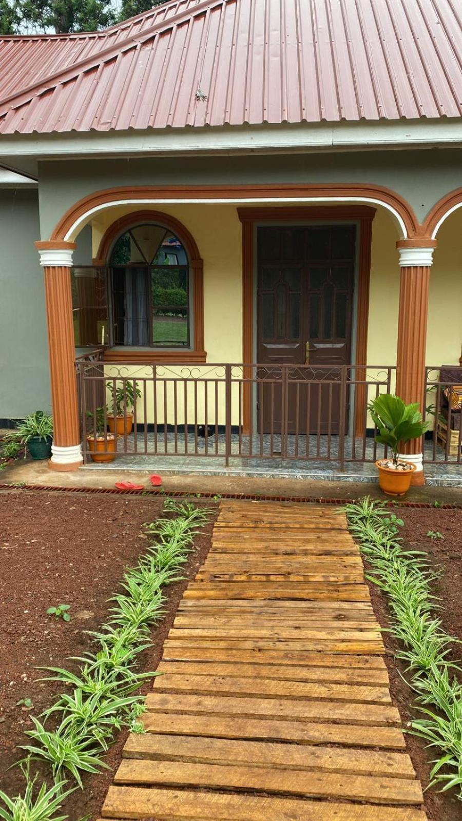 Home Feeling Kilimanjaro موشي المظهر الخارجي الصورة