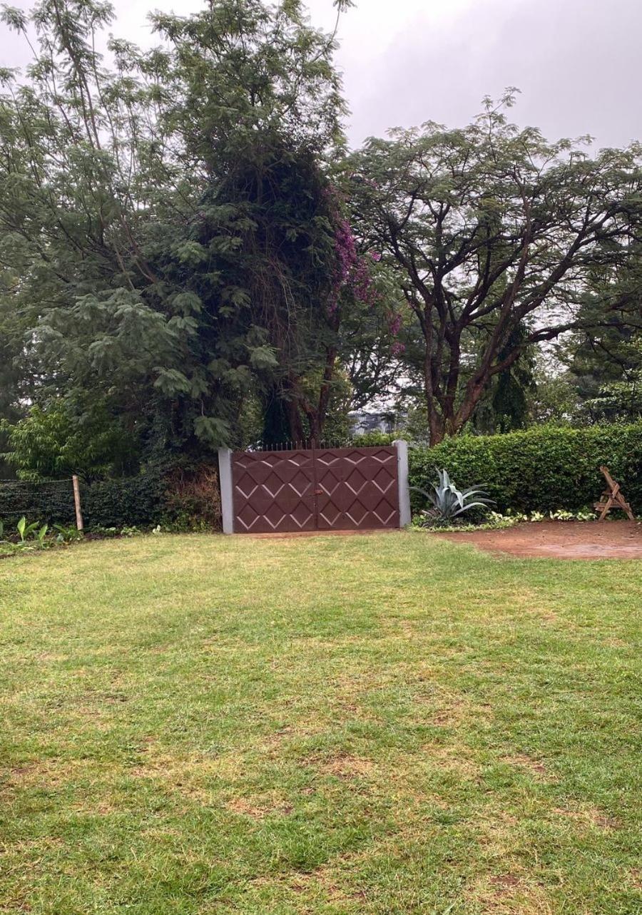 Home Feeling Kilimanjaro موشي المظهر الخارجي الصورة